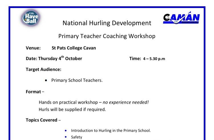 Coaching Hurling Workshop for Primary Teachers